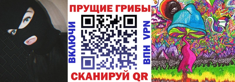 хочу наркоту  Пересвет  блэк спрут   Псилоцибиновые грибы GOLDEN TEACHER 